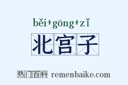 北宫子是什么意思的图片